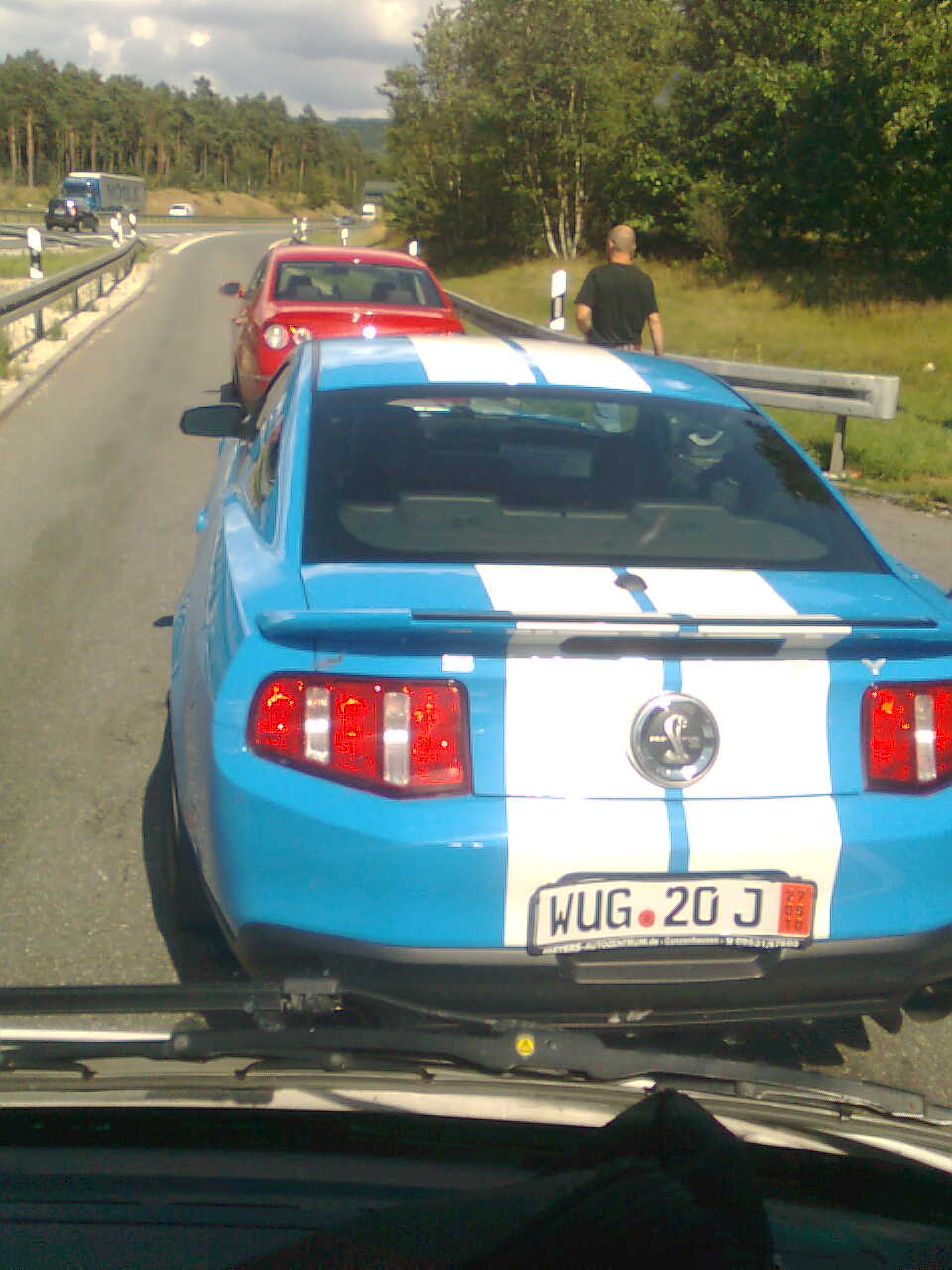 obraz272